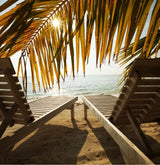 A beach resort in Florida
