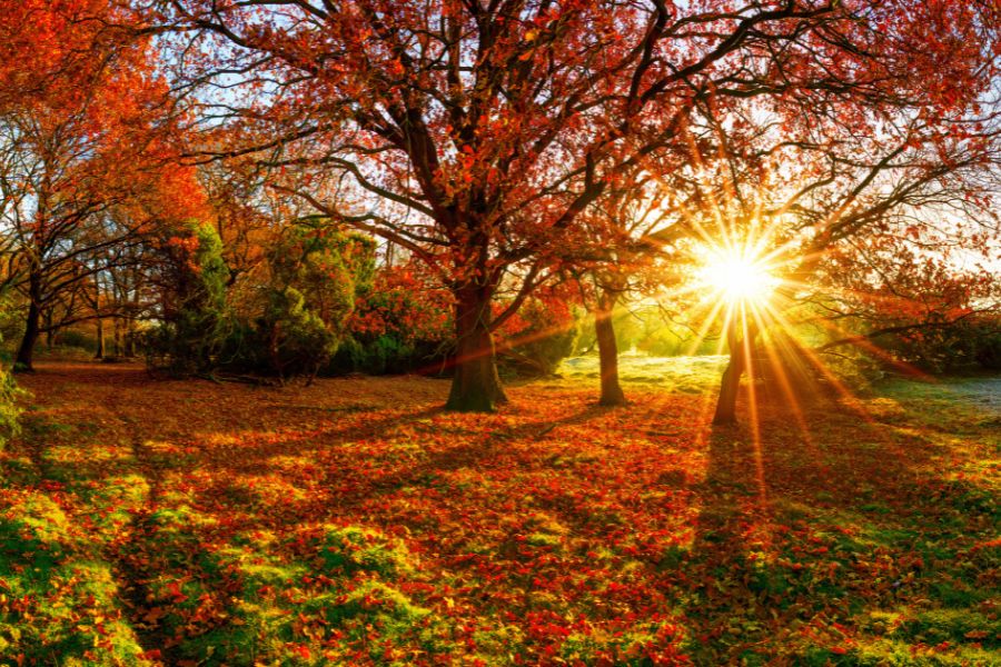 Fall Skin Care Tips: Sun Protection & Hydration