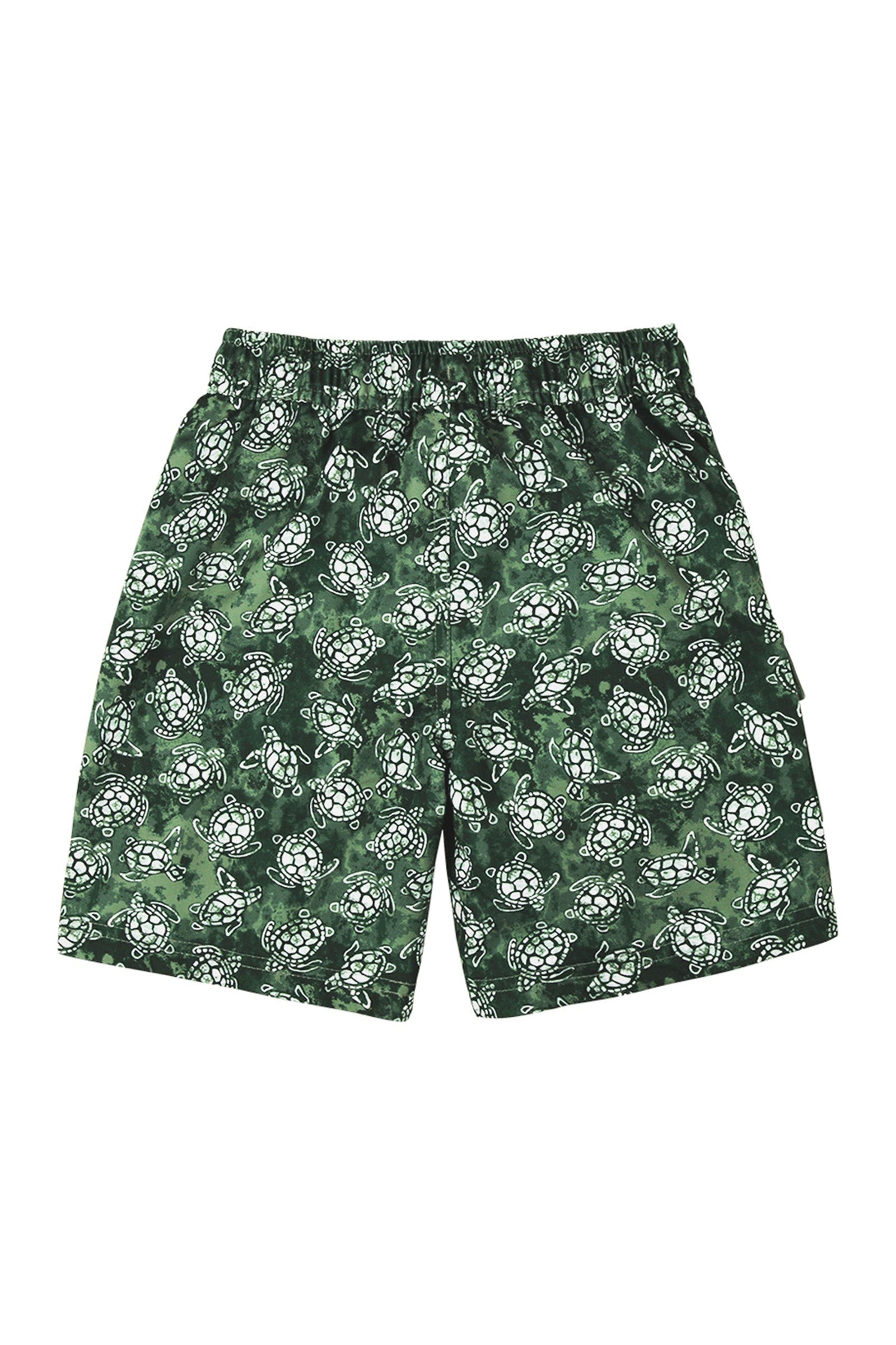 Boy's Racer Stripe Board Short in Turtle Cove|turtle-cove