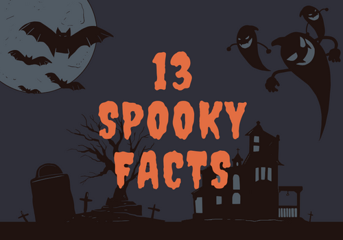 Man exploring tidal rocks at low tide in an ocean bay, reflecting on the importance of sun protection during a family beach day. The scenic coast features crystal-clear waters and reflective shadows, adding a hint of spookiness perfect for Halloween.