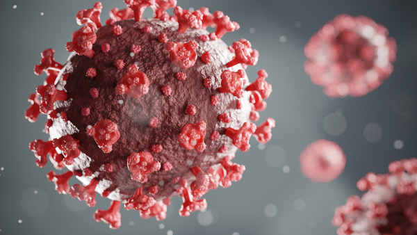 COVID’s Impact on Melanoma