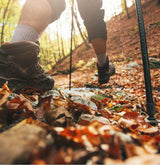 man hiking in the woods