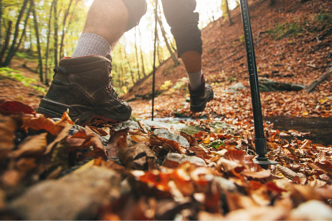 man hiking in the woods