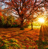 Fall Skin Care Tips: Sun Protection & Hydration