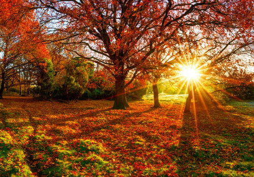 Fall Skin Care Tips: Sun Protection & Hydration