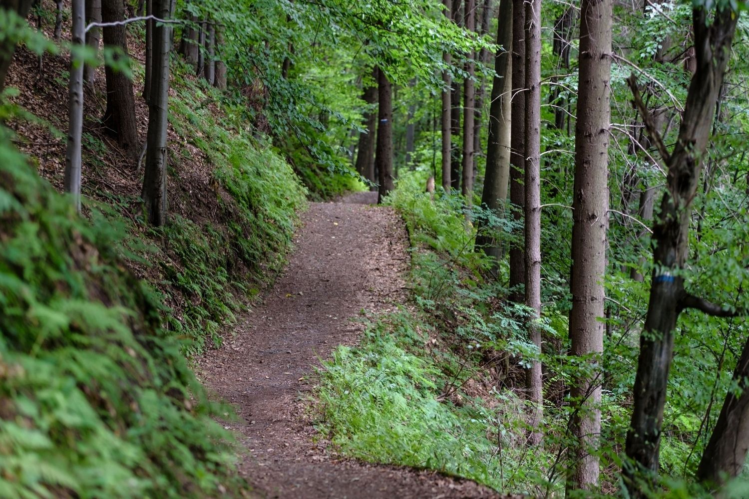 The 6 Best Summer Activities For Adults