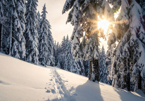 Winter Family Activities That Keep You Moving (and Sun-Safe)