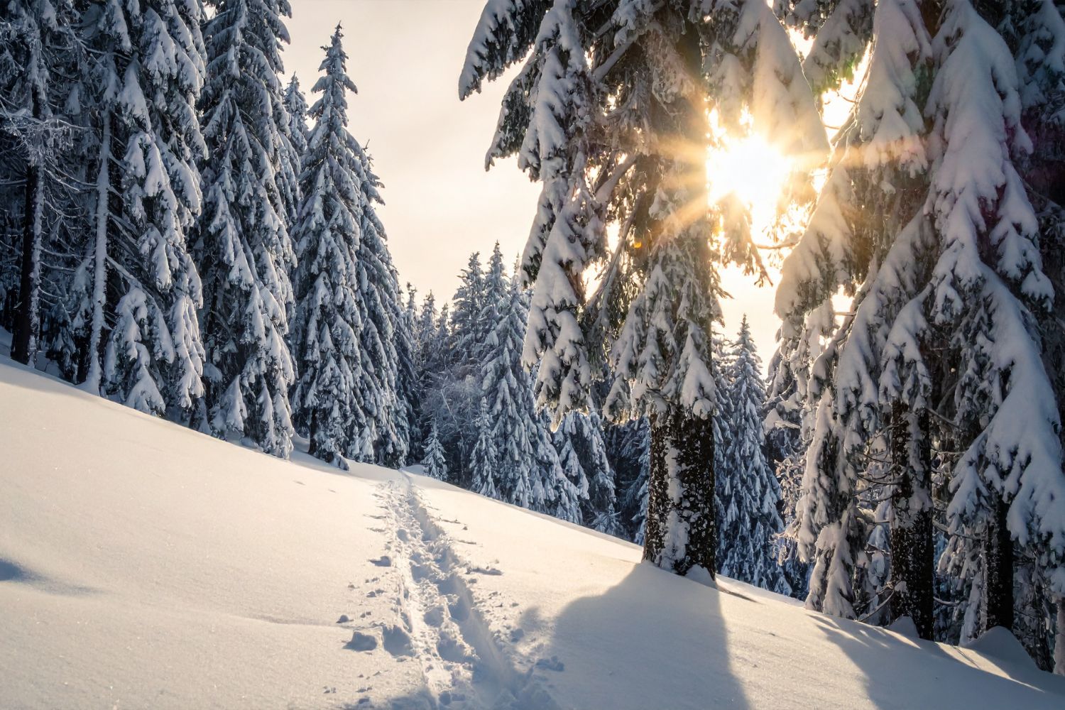 Winter Family Activities That Keep You Moving (and Sun-Safe)