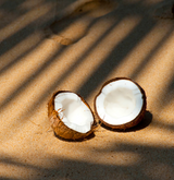 coconut