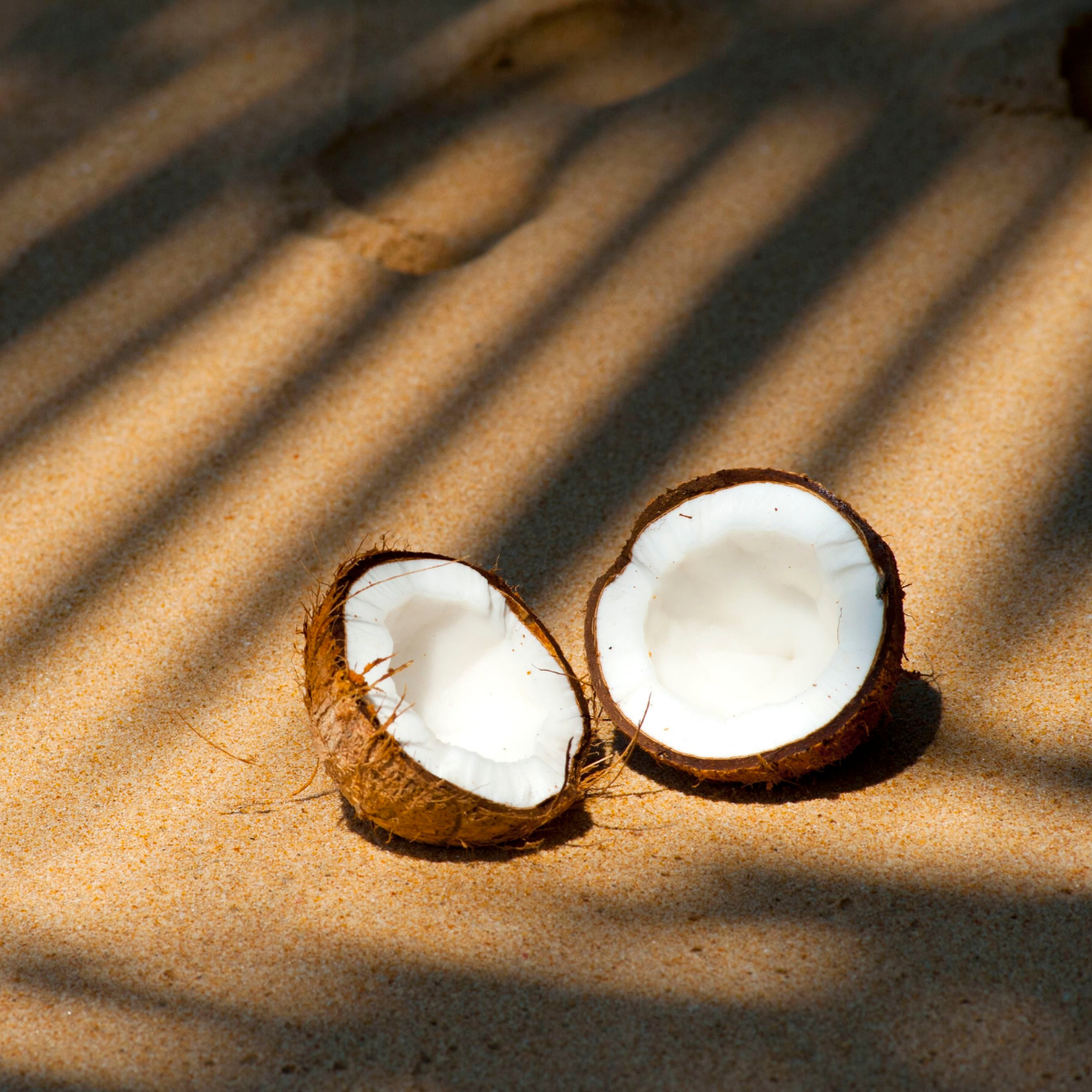 coconut