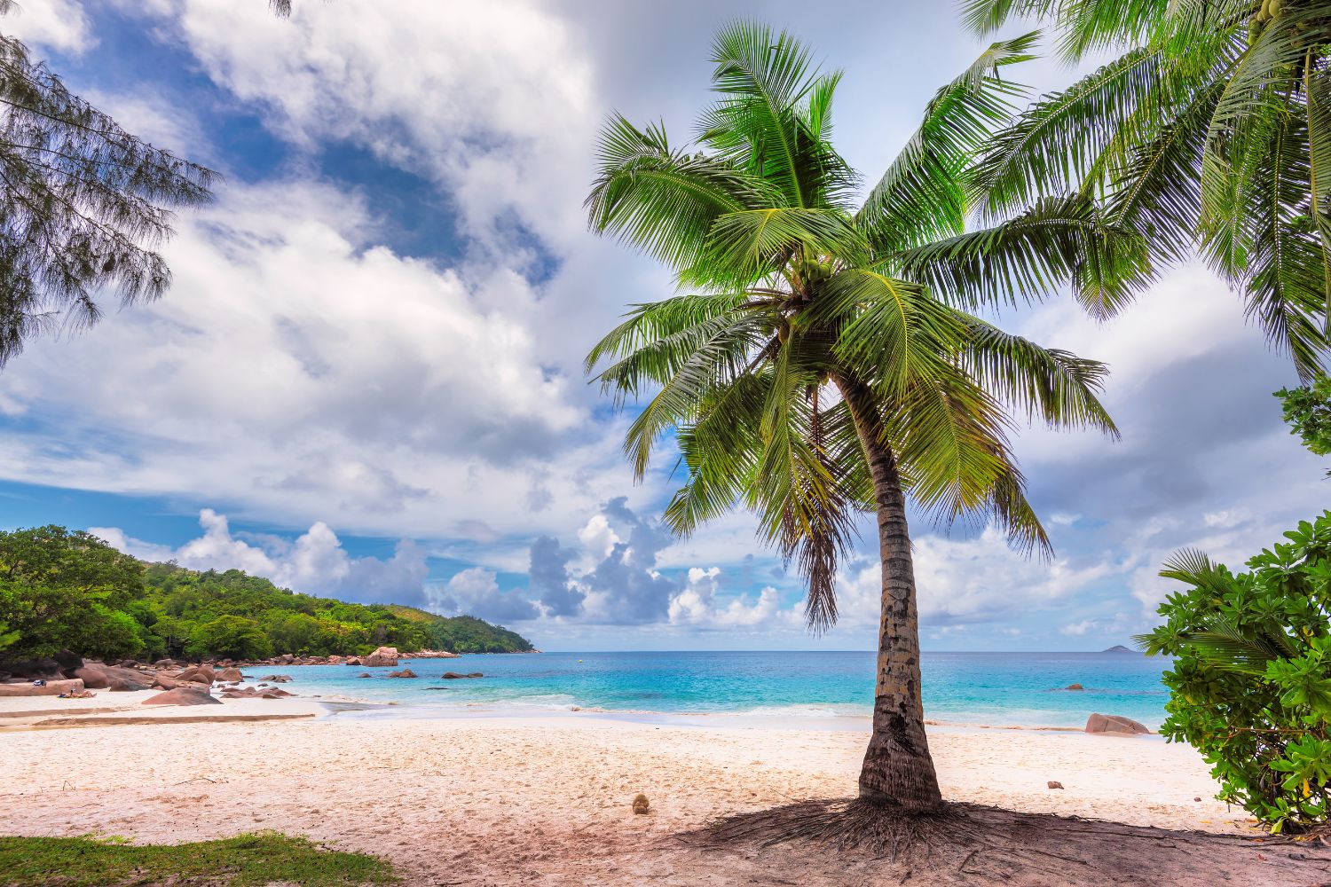 Earth Day Starts Outside