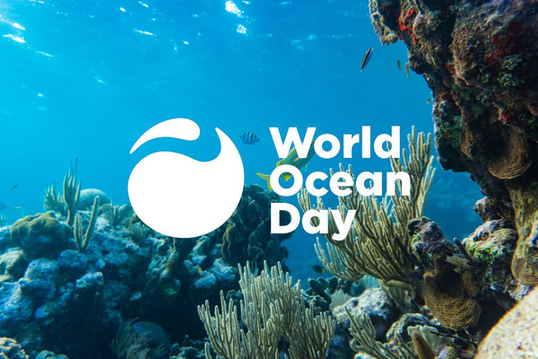 Celebrating World Ocean Day: UV Skinz’s Commitment to a Healthier Ocean and Planet
