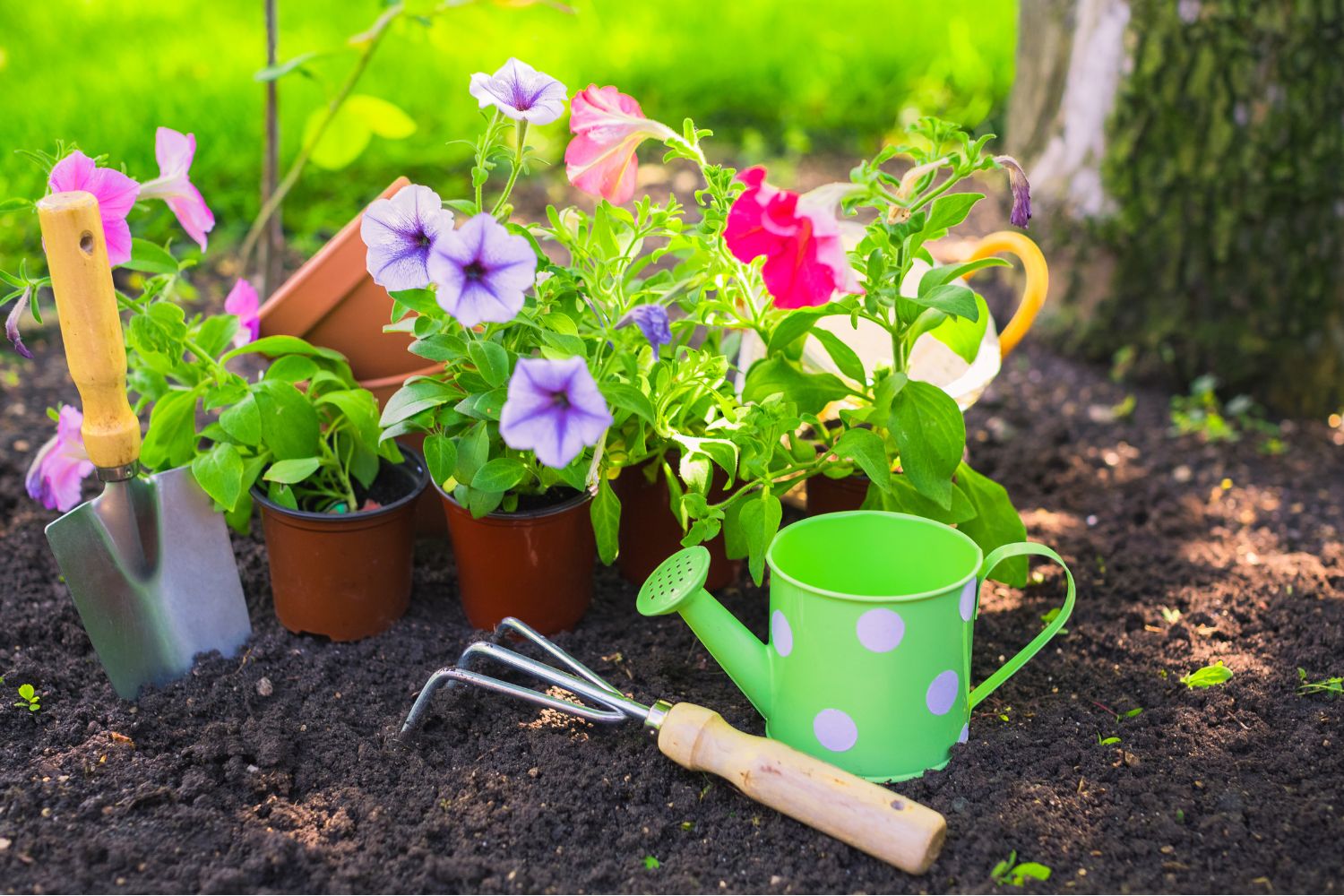 10 Fun Spring Activities That Call for Sunshine (and Sun Protection)