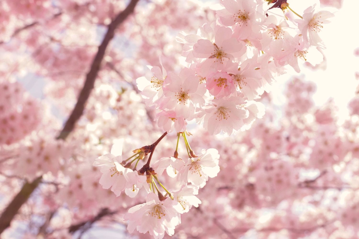 The Truth About UV Exposure In Spring
