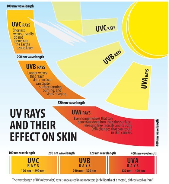 UV Rays Chart