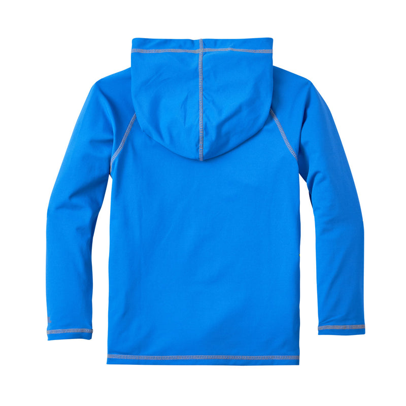 back of the boy's pullover hoodie in royal|royal