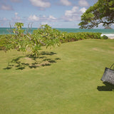 woman in UV Skinz's black ruched tank top and women's active swim jammerz walking on the beach